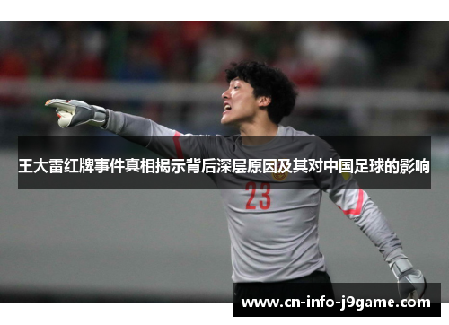 王大雷红牌事件真相揭示背后深层原因及其对中国足球的影响